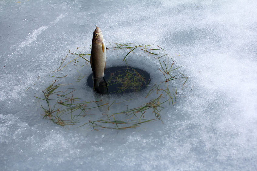 Ice-fishing-123rf.jpg