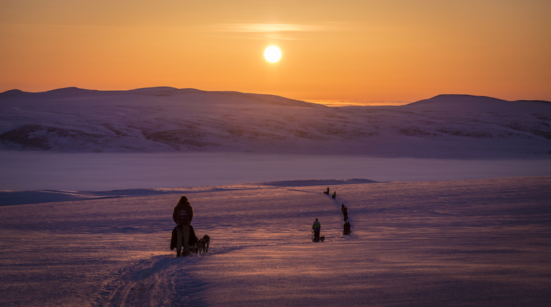 Mushing in Sonnenuntergang AC16.jpg