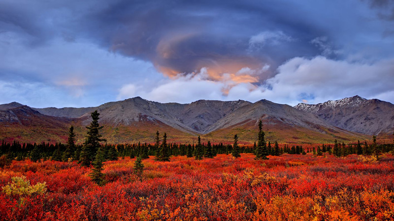 Bernd Römmelt Abenteuer Alaska - Indian Summer