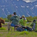 photosafari-photoworkshop-alaska-baer-01.jpg