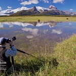 photosafari-photoworkshop-alaska-baer-03.jpg