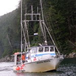 Mit der »Ocean Wave« geht es hinaus auf die Glacier Bay