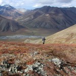 Zu Fuß gehts durch den Katmai Nationalpark